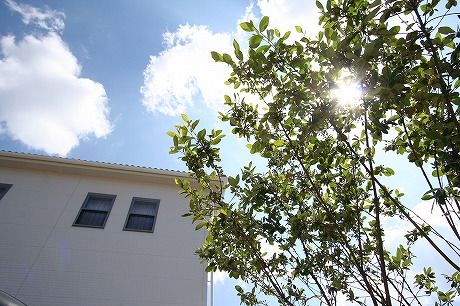 外構職人ナカシマ