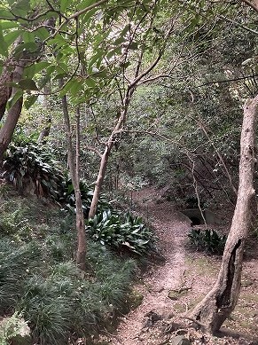 長楽寺に畑土