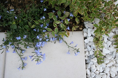 江南市アプローチ施工例